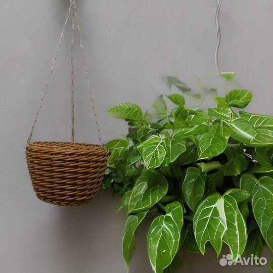 Кашпо для цветов подвесное, 5 литров