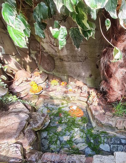 Дом 166 м² на участке 4,3 сот.