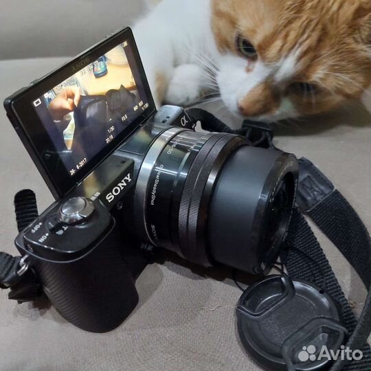 Sony alpha a 5000
