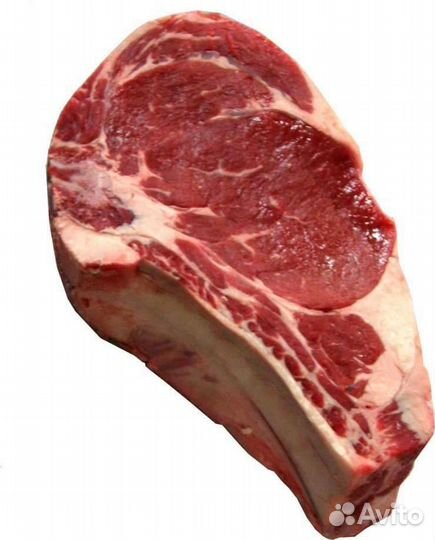 Мясо конина