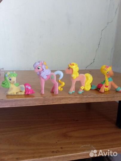 Пони Sweet box, filly