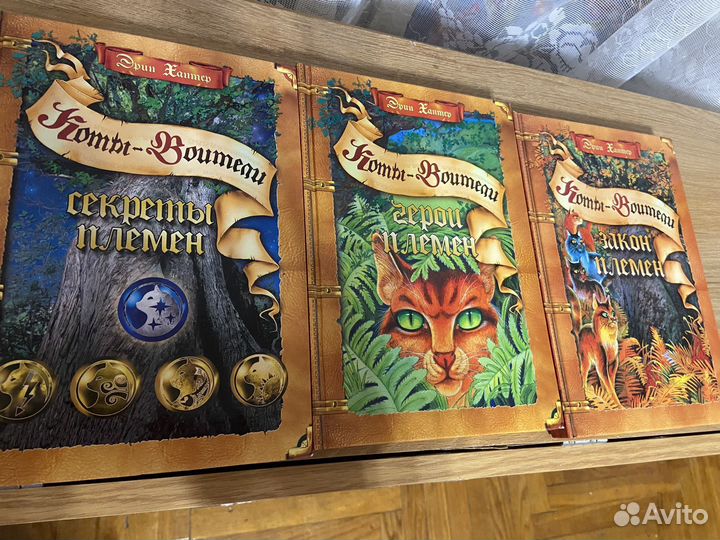 Коты-воители