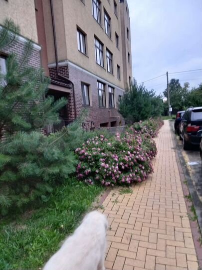 Своб. планировка, 94 м², 1/4 эт.