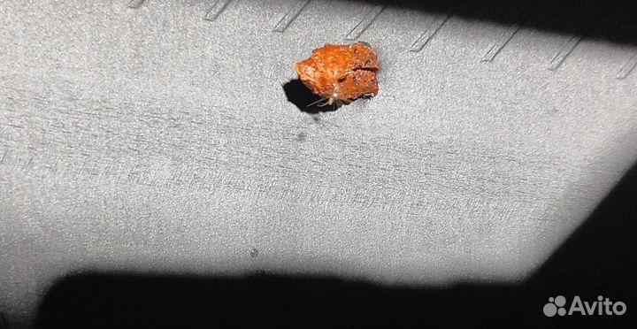 Dunlop Grandtrek SJ6 275/70 R16