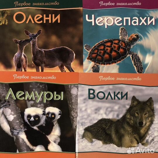 Книги для детей О животных Сказки