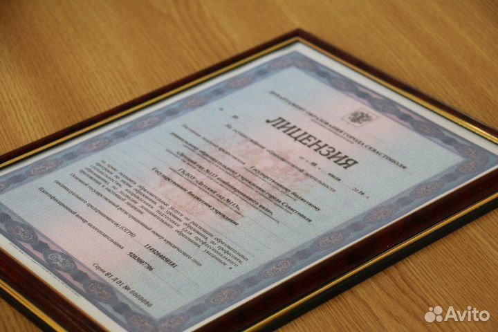 Образовательная Лицензия (под ключ)