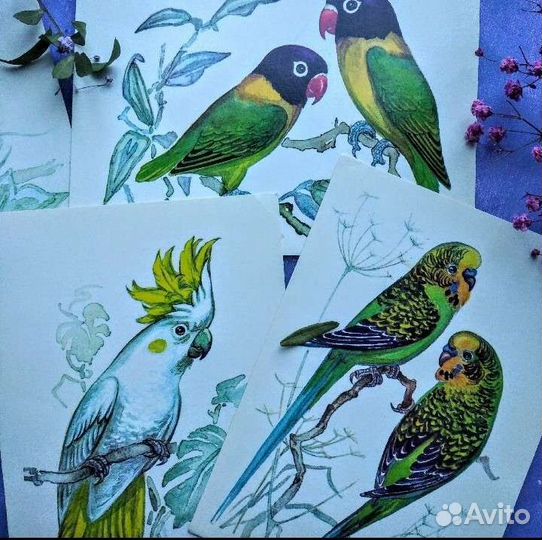 Набор открыток 