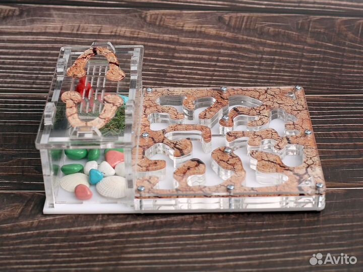 Муравьиная ферма с муравьями в Новосибирск