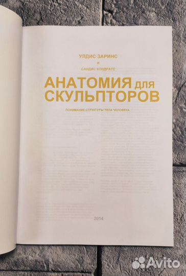 Анатомия для скульпторов