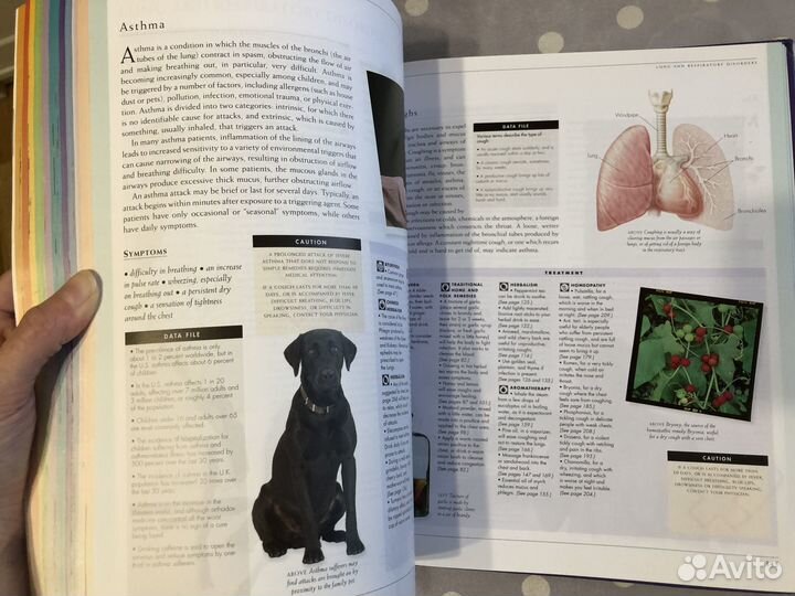 Энциклопедия на английском медицинская