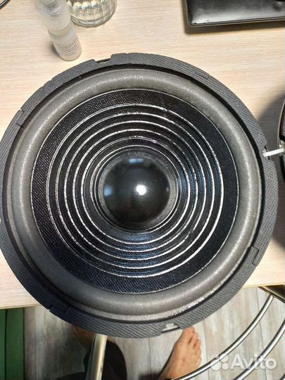 Нч динамики