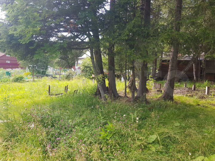 Участок 7 сот. (СНТ, ДНП)