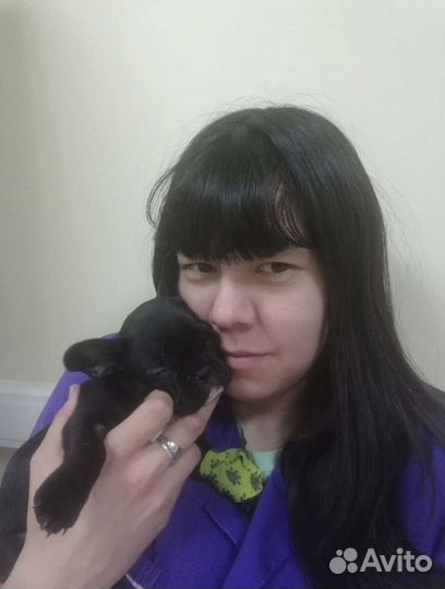 Ветеринарный врач на дом