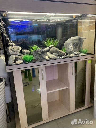 Аквариум