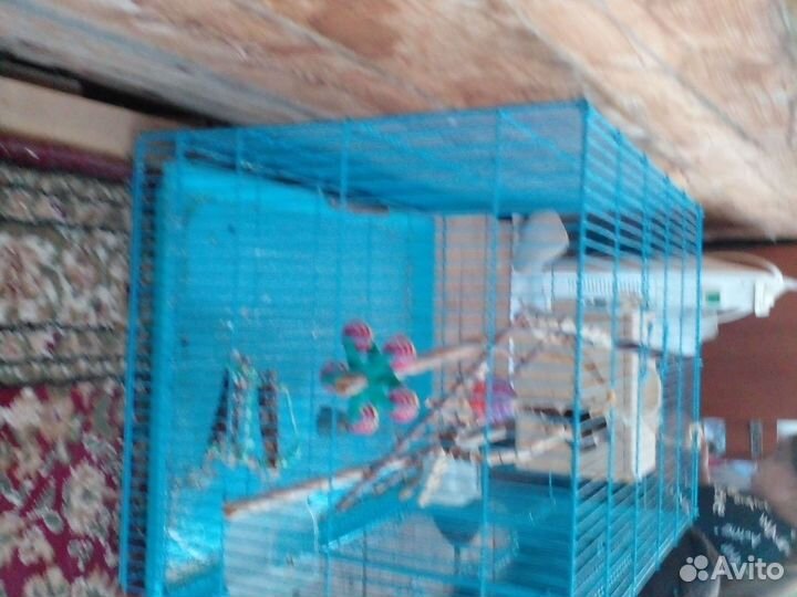 Клетка для птиц
