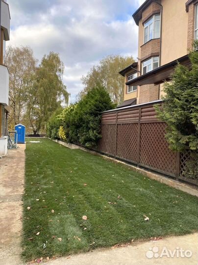 Рулонный газон 