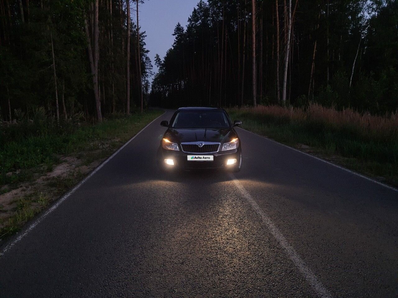 Skoda Octavia: фото владельца