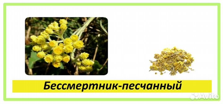 Целебные травы в каждый дом