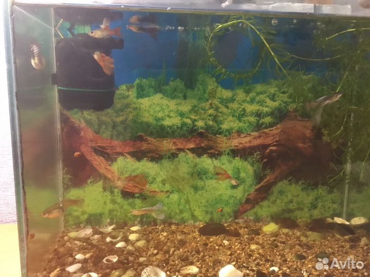 Украшение для аквариума