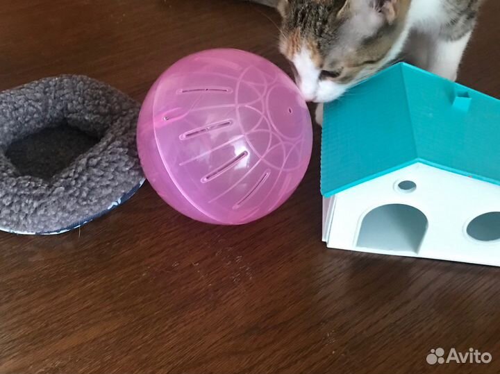 Игрушки для хомяка