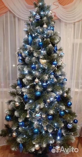 Ель Принцесса заснеженная