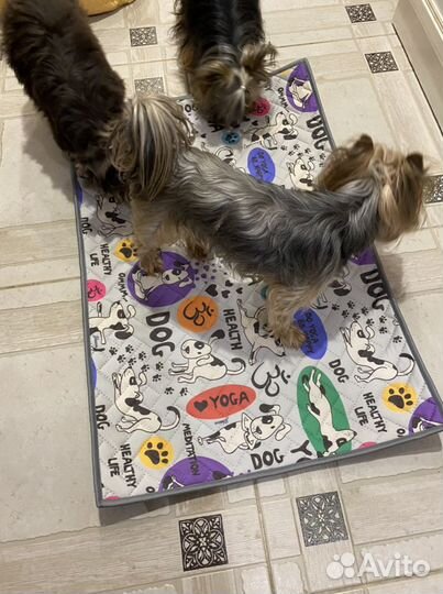 Многоразовые пеленки для домашних животных