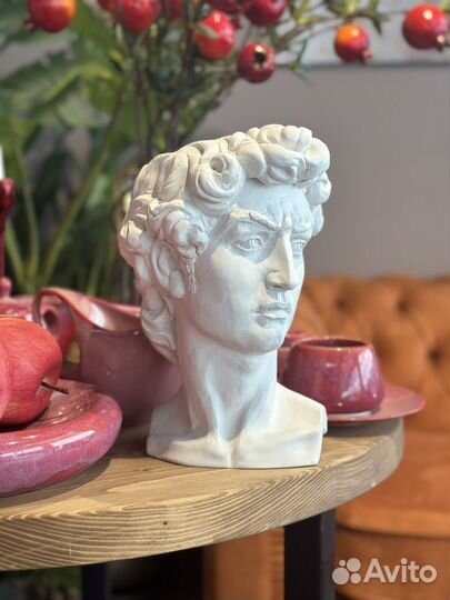 Кашпо давид