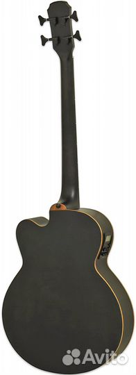 Электроакустическая бас-гитар Aria FEB-F2M/FL stbk