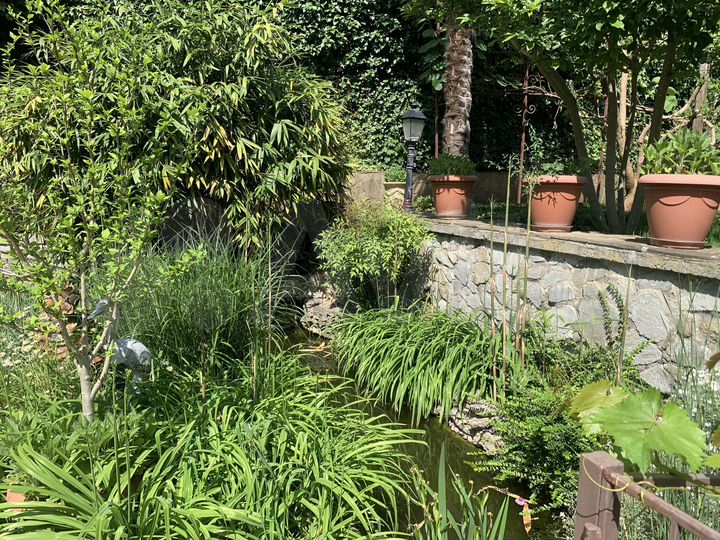 Дом 40,4 м² на участке 9 сот.