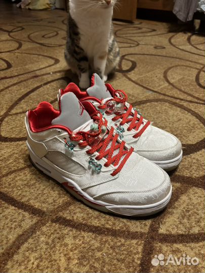 Nike air jordan 5 low