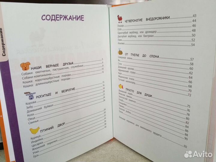 Детская энциклопедия