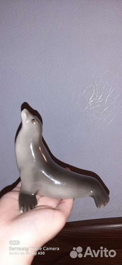 Тюлень фарфор