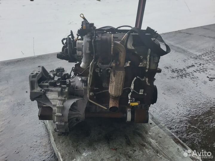 Двигатель (двс) Ford Transit drfb 2.2