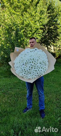 Букет гигант из хризантем ромашка