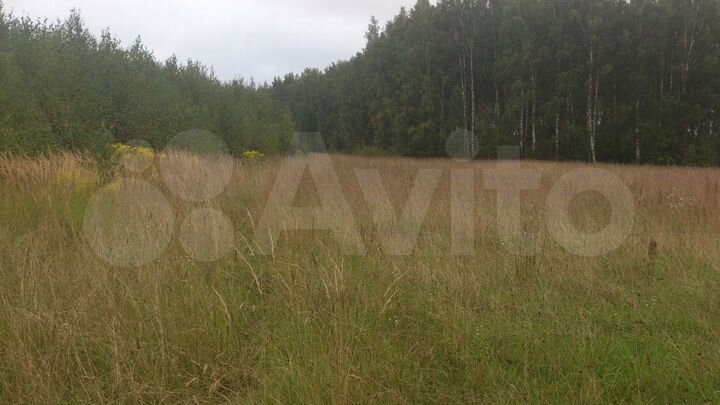 Участок 79 сот. (ИЖС)