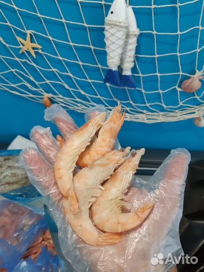 Креветки свежак