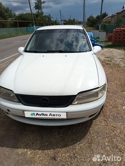 Opel Vectra 1.6 AT, 1999, 216 834 км