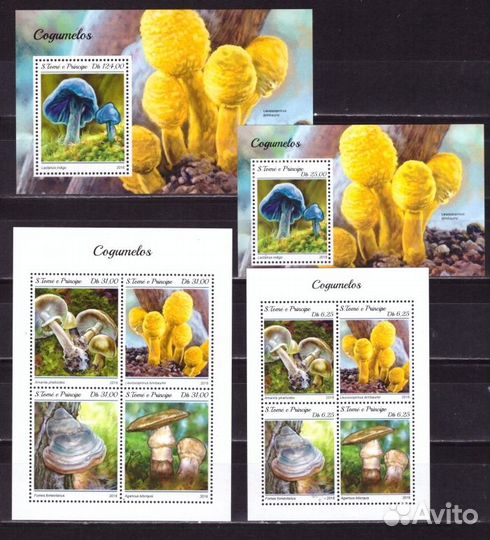 Сан-Томе и Принсипи, 2018. Грибы (мл+блок)