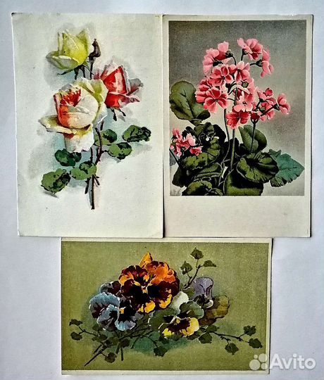 Открытки 50-х годов СССР