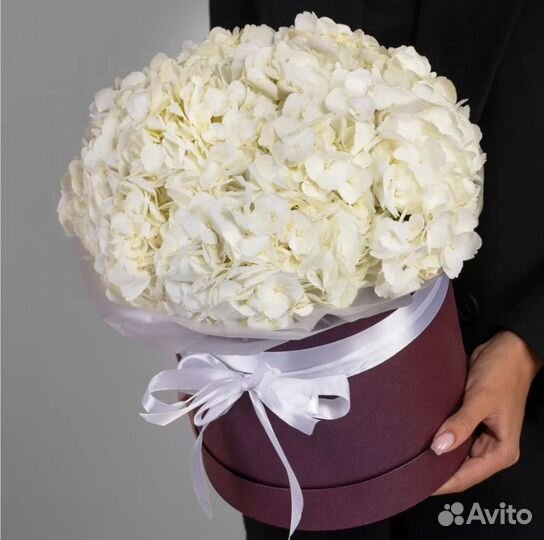 Гортензия в шляпной коробке, гортензия с доставкой