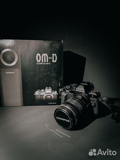 Olympus OM-D E-M10 Mark II Kit