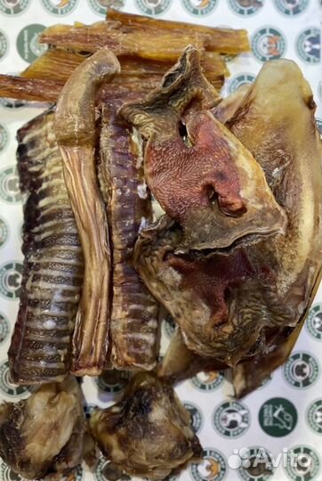 Лакомства для собак от