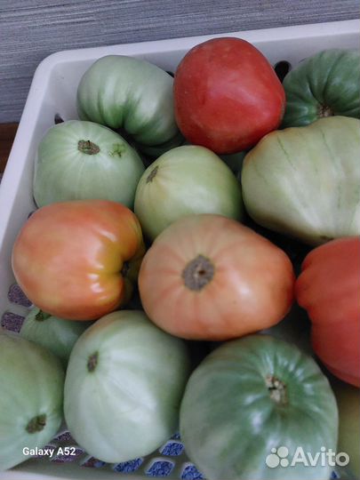 Помидоры домашние