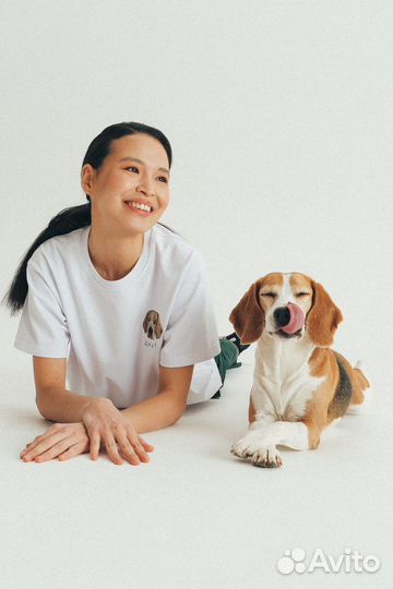 Собака для фотосессии/съёмок (бигль)