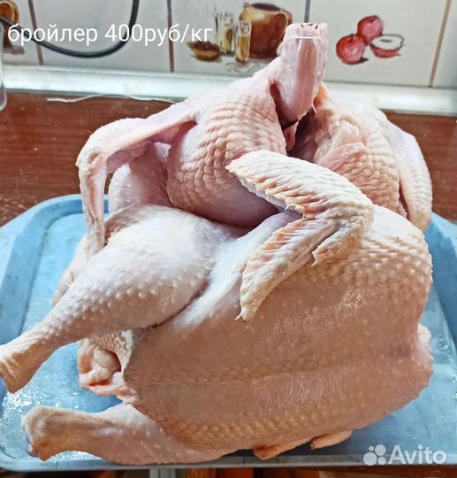 Мясо домашней птицы (бройлер), яйца куриные