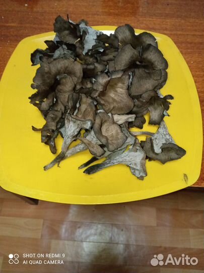 Грибы черные лисички