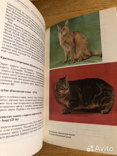 Книга Атлас пород кошек