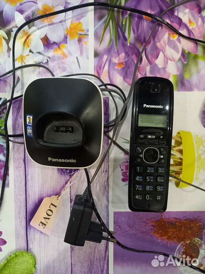 Panasonic