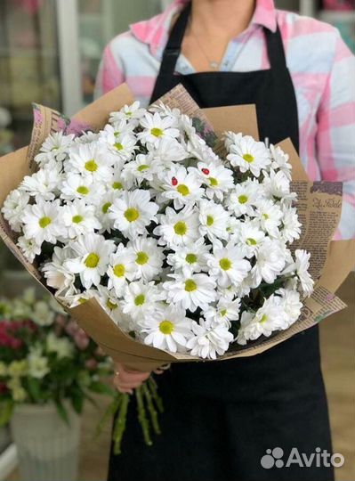 Хризантемы кустовые спб на 8 марта и ежедневно