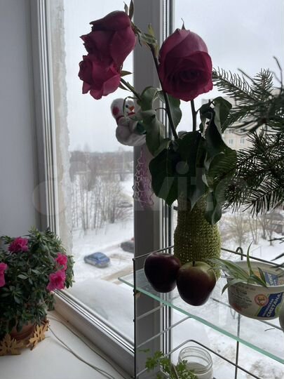 3-к. квартира, 67 м², 5/5 эт.